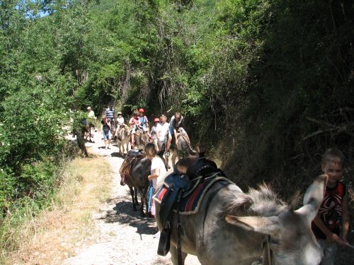 asinelli-29.JPG